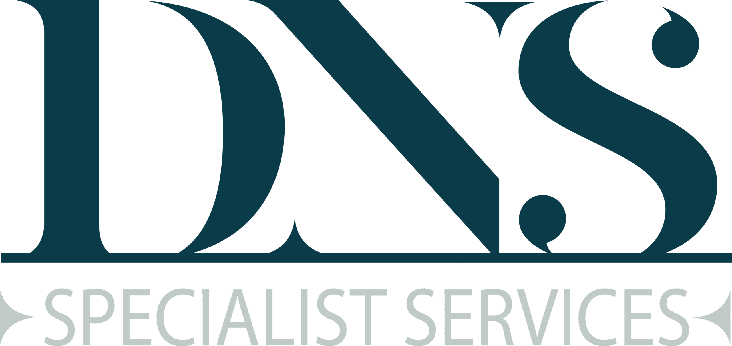 DNS-SS-Logo-CMYK